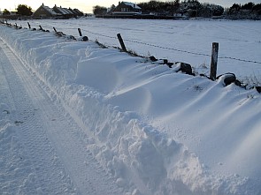 snow 2010